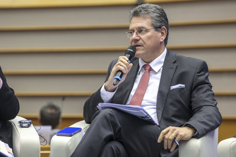 Fotografie 8: Conference on the Future of Europe - Feedback Event