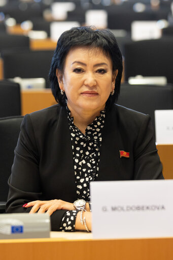 Fotografija 7: The delegation of Kyrgyzstan meeting - Political situation in Kyrgyzstan and the European Union and overall bilateral relations between the European Parliament since the 14th PCC, with focus on impact of the Russian war against Ukraine.