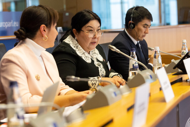 Fotografija 3: The delegation of Kyrgyzstan meeting - Political situation in Kyrgyzstan and the European Union and overall bilateral relations between the European Parliament since the 14th PCC, with focus on impact of the Russian war against Ukraine.