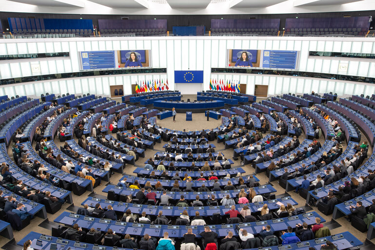 Fotagrafa 36: Euroscola