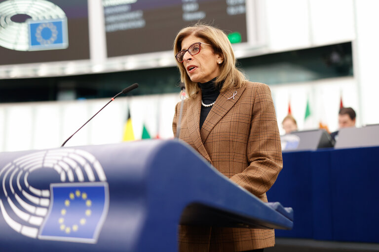 Foto 13: EP Plenary session - 90 years after Holodomor: Recognising the mass killing through starvation as genocide