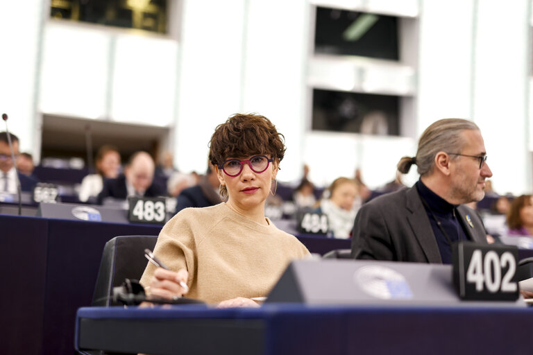EP Plenary session - Voting session