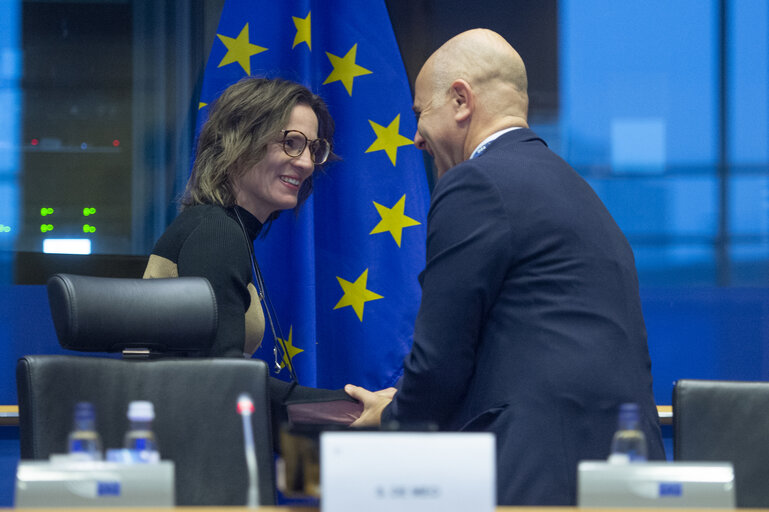 AFCO Committee -  Presentation of the Council Presidency’s programme by Jessika ROSWALL, Minister for EU Affairs of the Kingdom of Sweden