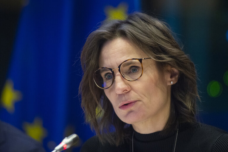 AFCO Committee -  Presentation of the Council Presidency’s programme by Jessika ROSWALL, Minister for EU Affairs of the Kingdom of Sweden