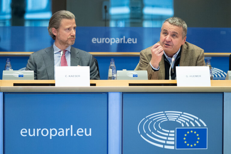 Foto 2: FISC Special committee - Public Hearing on ' What should the BEFIT proposal look like '