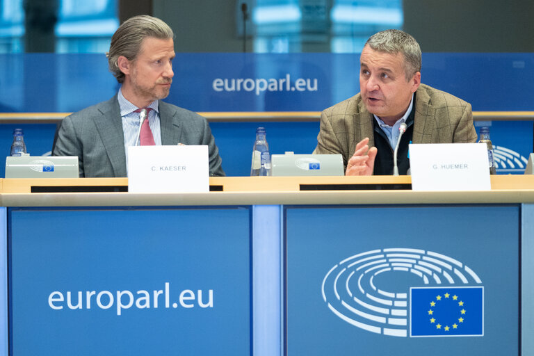 Foto 3: FISC Special committee - Public Hearing on ' What should the BEFIT proposal look like '