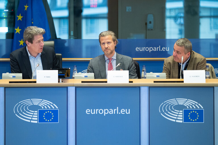 Foto 15: FISC Special committee - Public Hearing on ' What should the BEFIT proposal look like '