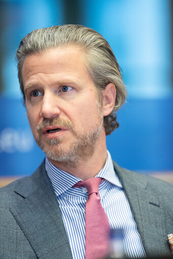 Foto 18: FISC Special committee - Public Hearing on ' What should the BEFIT proposal look like '