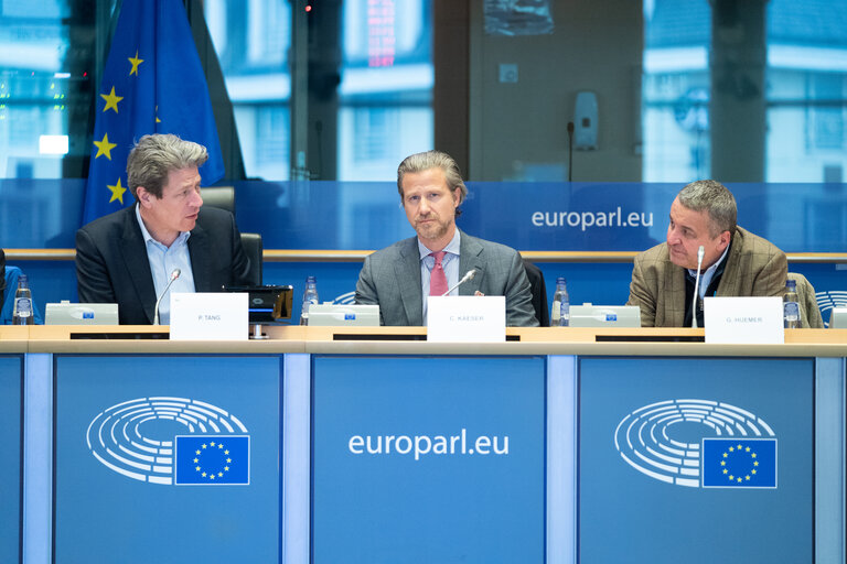 Foto 13: FISC Special committee - Public Hearing on ' What should the BEFIT proposal look like '