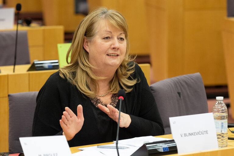 FEMM Committee - Presentation by EIGE on the work programme