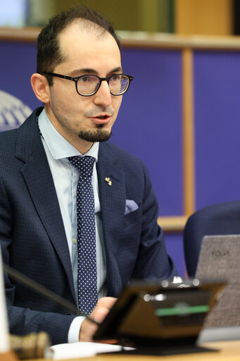 Foto 26: COVI Special Committee - Public hearing ' Impact of the Pandemic on EU Democracies '