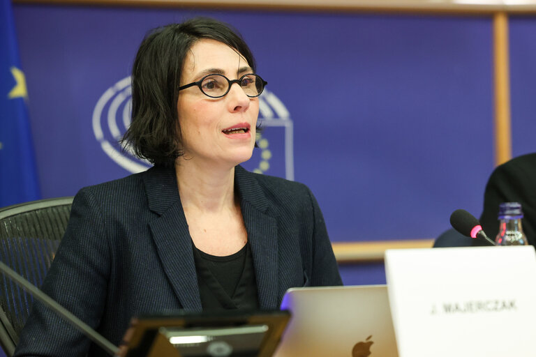 Foto 9: COVI Special Committee - Public hearing ' Impact of the Pandemic on EU Democracies '