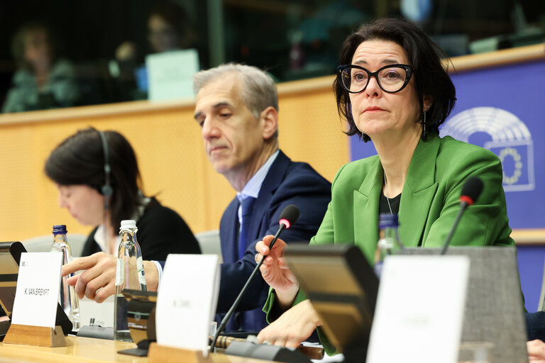 Foto 19: COVI Special Committee - Public hearing ' Impact of the Pandemic on EU Democracies '