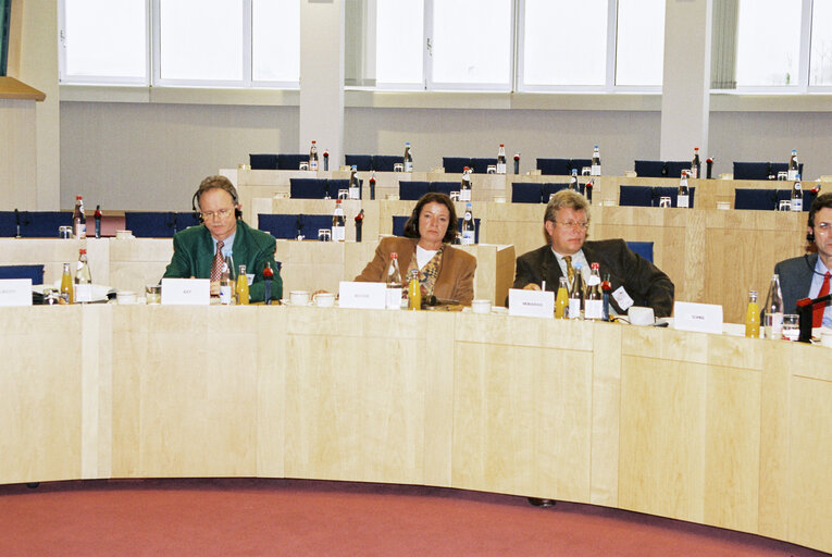 Foto 22: EU-Cyprus Parliamentary Committee meeting