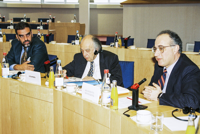 EU-Cyprus Parliamentary Committee meeting