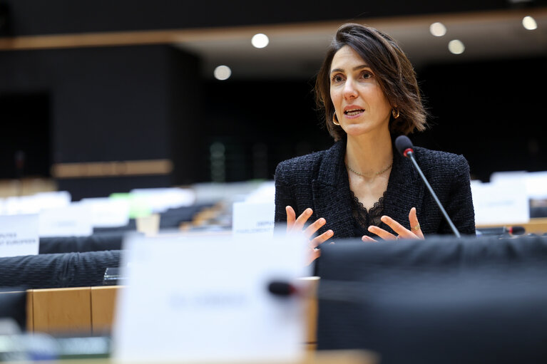 Photo 5: Valerie Hayer in the EP in Brussels