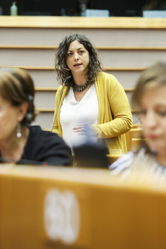 Photo 9: Plenary session - Spain's application of international standards on the definition of sexual violence - La Manada case