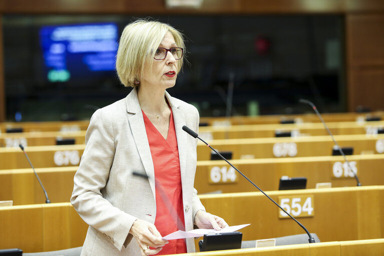 Photo 11 : Plenary session - Spain's application of international standards on the definition of sexual violence - La Manada case