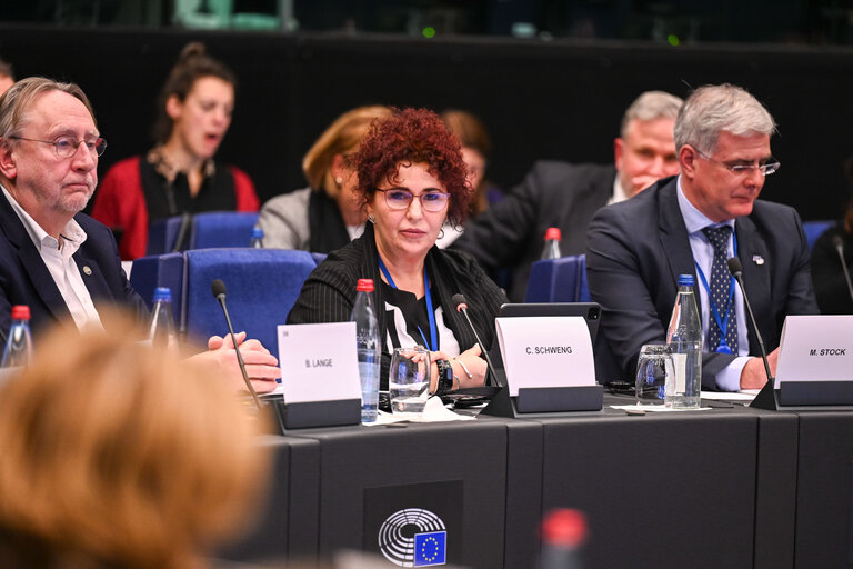 Suriet 11: CCC meeting - Exchange of views with Christa SCHWENG, President of the European Economic and Social Committee (EESC)