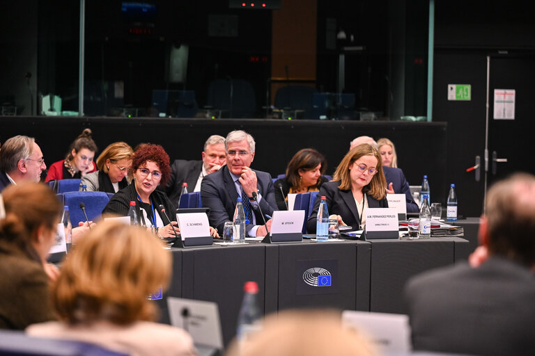 Suriet 12: CCC meeting - Exchange of views with Christa SCHWENG, President of the European Economic and Social Committee (EESC)