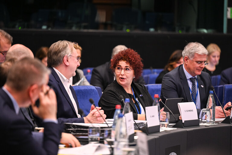 Nuotrauka 14: CCC meeting - Exchange of views with Christa SCHWENG, President of the European Economic and Social Committee (EESC)