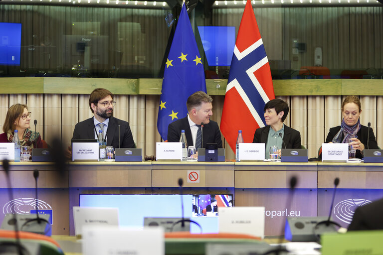 38th EU-Norway Interparliamentary Committee