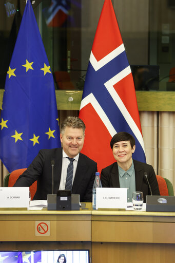 Fotografia 6: 38th EU-Norway Interparliamentary Committee