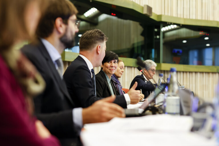 Fotografia 19: 38th EU-Norway Interparliamentary Committee