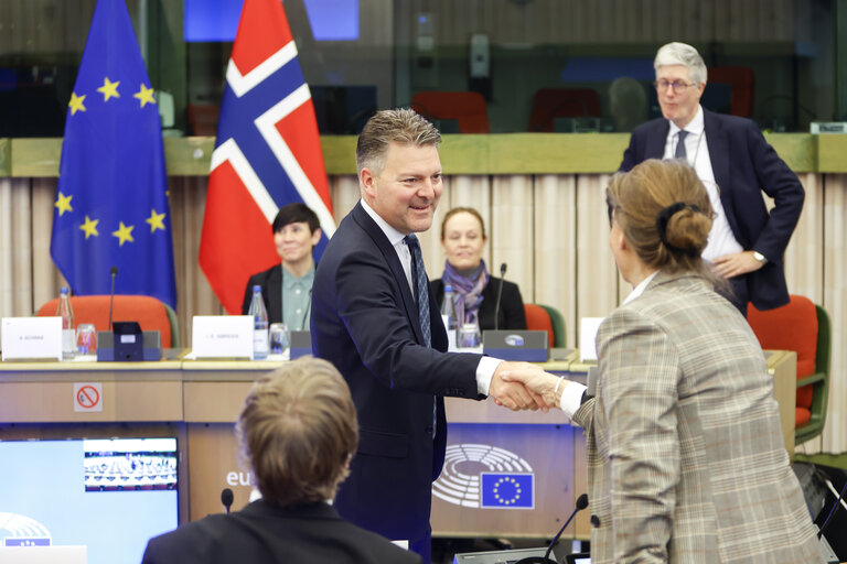 Billede 27: 38th EU-Norway Interparliamentary Committee