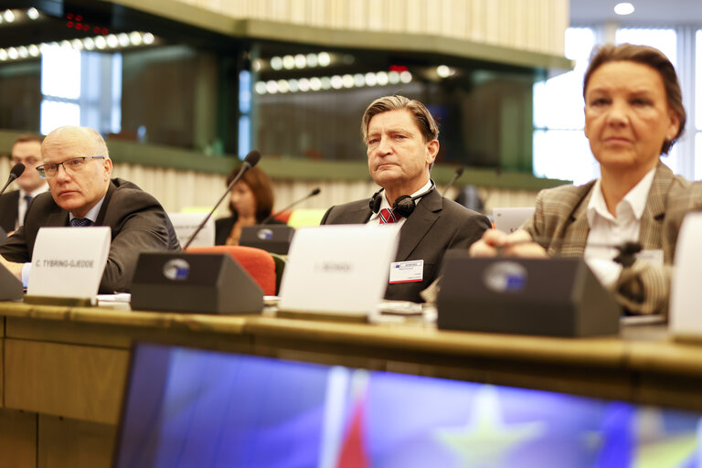 Billede 10: 38th EU-Norway Interparliamentary Committee