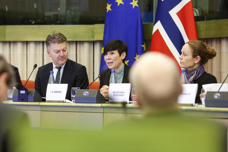 Fotografia 15: 38th EU-Norway Interparliamentary Committee