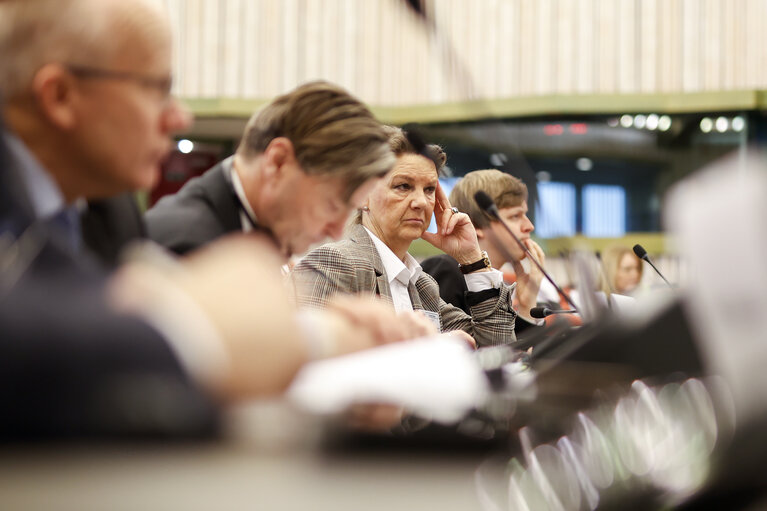 Billede 11: 38th EU-Norway Interparliamentary Committee