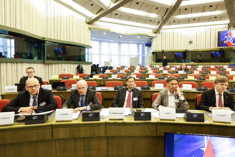 Fotografia 12: 38th EU-Norway Interparliamentary Committee