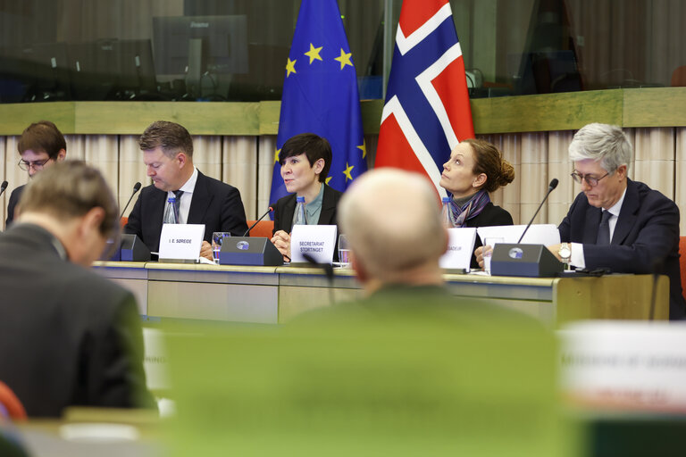 Fotografia 14: 38th EU-Norway Interparliamentary Committee