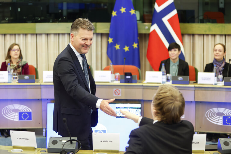 38th EU-Norway Interparliamentary Committee