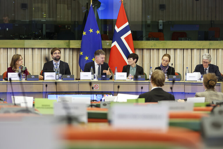 Fotografia 16: 38th EU-Norway Interparliamentary Committee