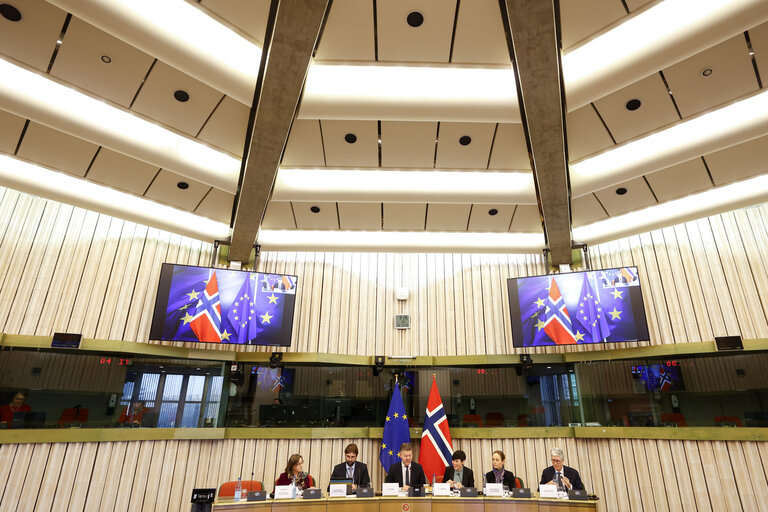 Billede 1: 38th EU-Norway Interparliamentary Committee