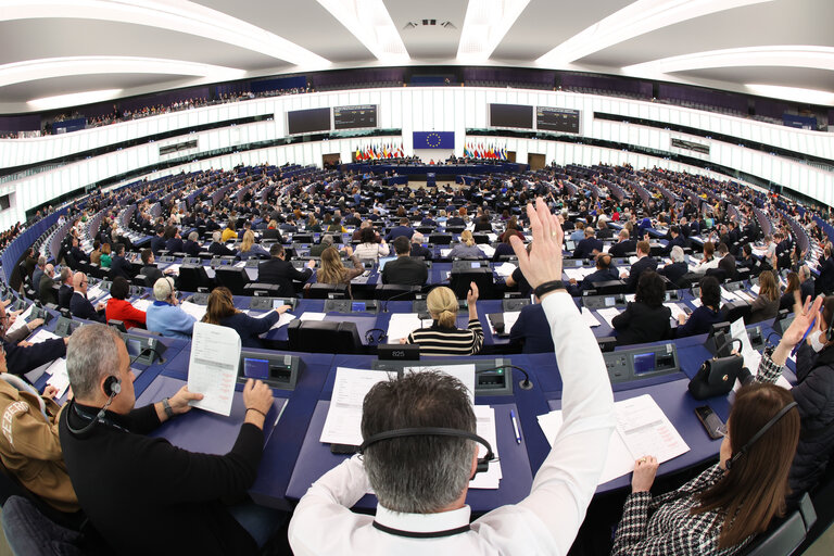 EP Plenary session - Voting session