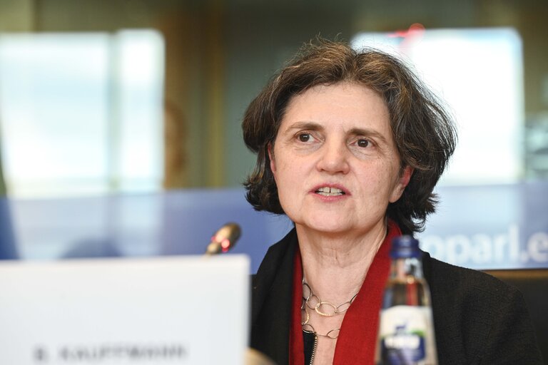 Fotagrafa 3: EMPL Interparliamentary Committee Meeting