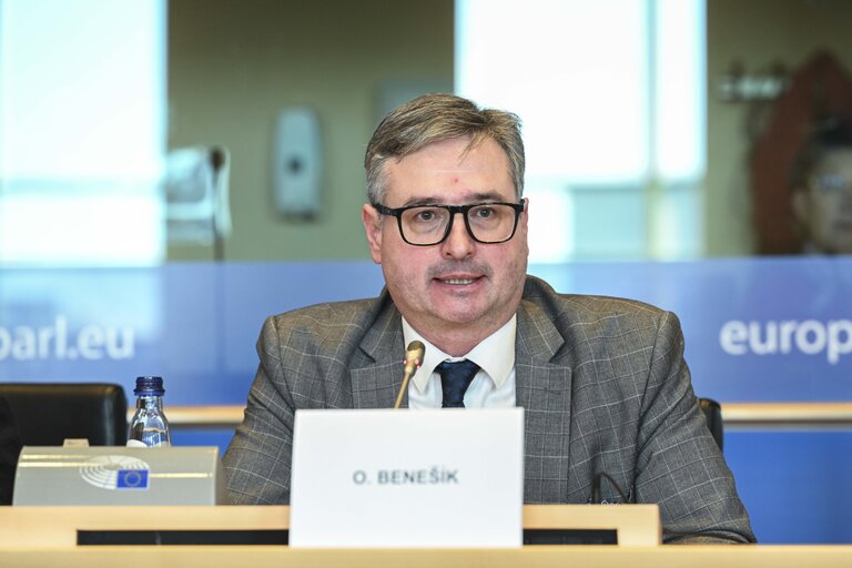 Fotagrafa 18: EMPL Interparliamentary Committee Meeting