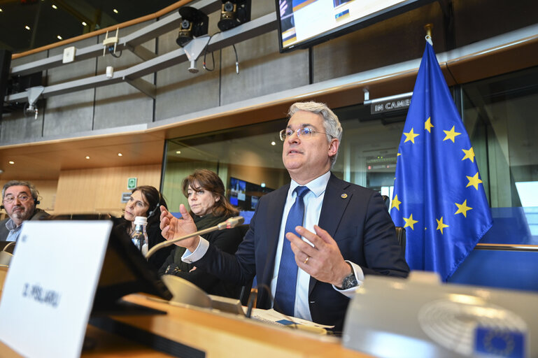 Fotagrafa 7: EMPL Interparliamentary Committee Meeting