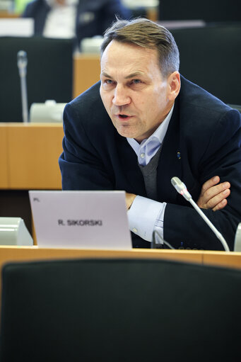 AFET SEDE D-UA and D-US joint meeting - The first year of the fully-fledged Russian war of aggression against Ukraine: Lessons learnt and the way forward
