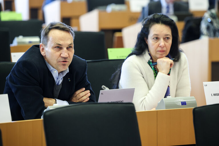 AFET SEDE D-UA and D-US joint meeting - The first year of the fully-fledged Russian war of aggression against Ukraine: Lessons learnt and the way forward