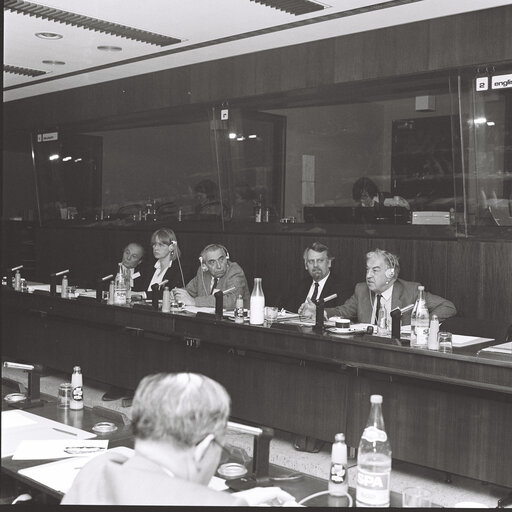 Fotografija 17: Magdalene HOFF, Franck SERUSCLAT and Bob MOLENAAR attend a socialist group meeting at the European Parliament in Brussels, December 1983.