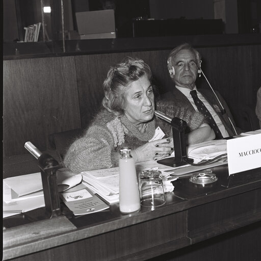 Maria Antonietta MACCIOCCHI and Hellmut SIEGLERSCHMIDT attend a socialist group meeting at the European Parliament in Brussels, December 1983.