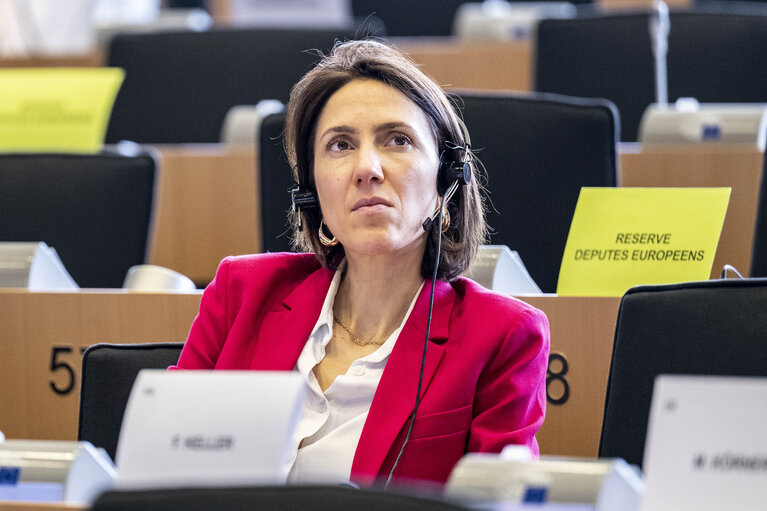 Photo 7: BUDG Public Hearing ' EU external action and crisis response: Is the EU budget fit for purpose? '