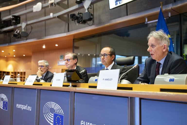 Photo 18: ITRE Committee - Technical presentation by the Commission of the Critical Raw Materials Act