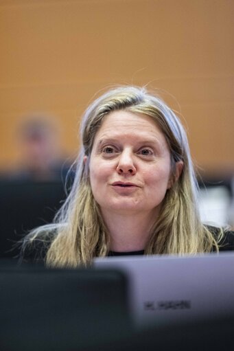 Photo 10: ITRE Committee - Technical presentation by the Commission of the Critical Raw Materials Act