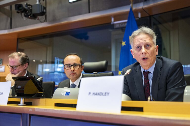 Photo 20: ITRE Committee - Technical presentation by the Commission of the Critical Raw Materials Act