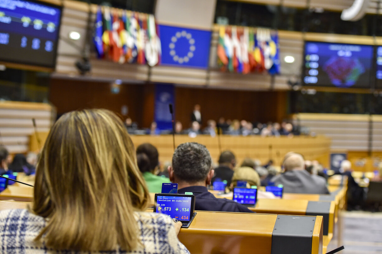 EP Plenary session - Voting session